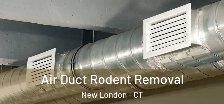  Air Duct Rodent Removal New London - CT