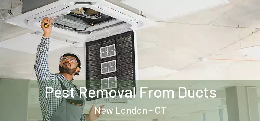  Pest Removal From Ducts New London - CT
