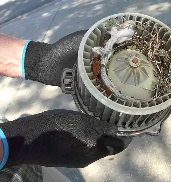 About Air Duct Mice Removal in New London, CT